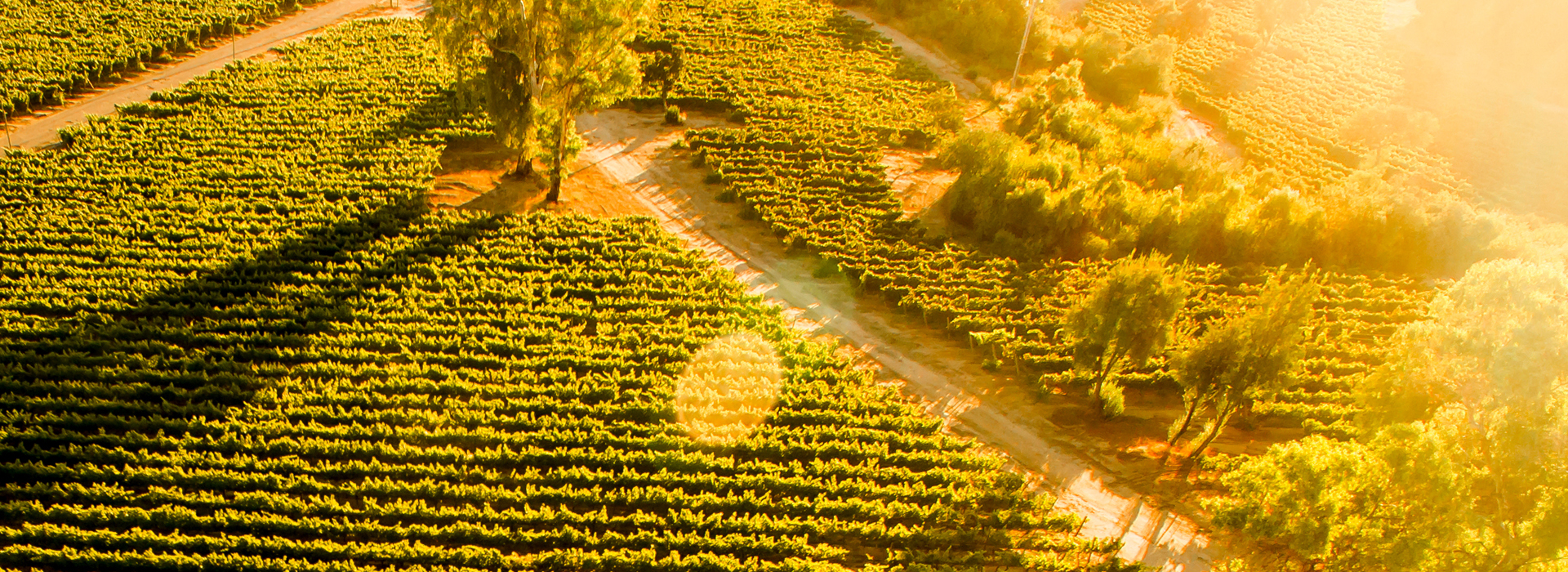 Roseworthy Lifestyle Barossa